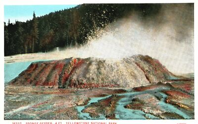 #ad Vintage Postcard 1920#x27;s Sponge Geyser Upper Basin Yellowstone National Park WY $8.99