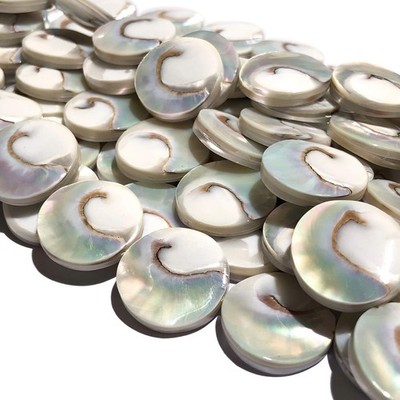 Abcgems Metallicsilver Mermaidnautilus Beads With Iridescent Flash each Piece P