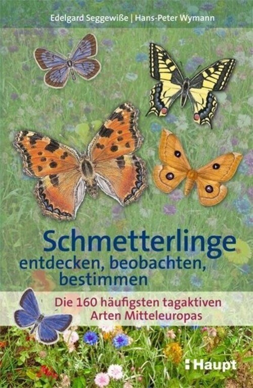 Thumbnail - Schmetterlinge Entdecken, Beobachten, Bestimmen | Edelgard Seggewiße |