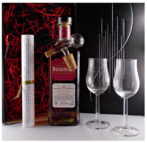 Bushmills 16 Jahre Irischer Whiskey + 2 GläSer +1 Glaskugelportionierer Geschenk-image