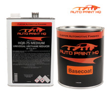 Base Coat and Clear Coat Automotive Paint Kit - Main Image