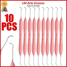 10Pcs Lm Arte Eccesso Dental Composite Filling Instruments Silicone Handle