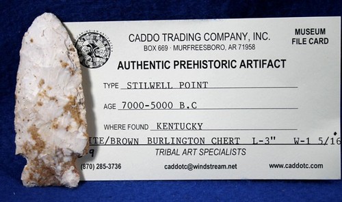 Stilwell Point Authentic Prehistoric Arrowhead Artifact Native American Indian - Picture 2 of 8