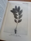 Zdjęcie 19 z 23