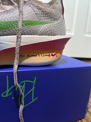 Nike Air Zoom Alphafly NEXT% 3 EK Men's Running Shoes Gray Green Pink Blue Mesh