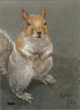 KMCoriginals PRINT Squirrel Where’s my peanut wildlife Reproduction ACEO art