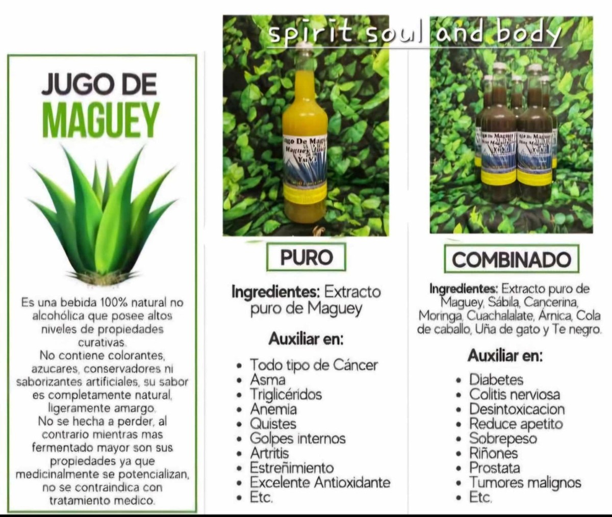 Roasted Maguey Juice With Aloe/Jugo De Maguey Asado Con Sabila | eBay