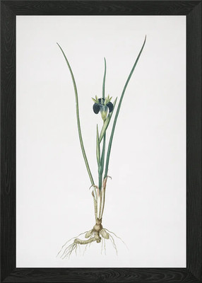 Snakes Head Framed Wall Art Poster Canvas Print Picture
