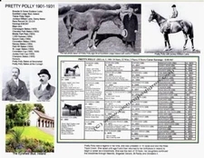 Famous English Race Horse Mare PRETTY POLLY  picture pedigree  Racing History