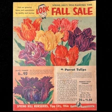 1954 Spring Hill Nurseries Fall Planting Catalog Flower Bulbs Trees Hedges Roses
