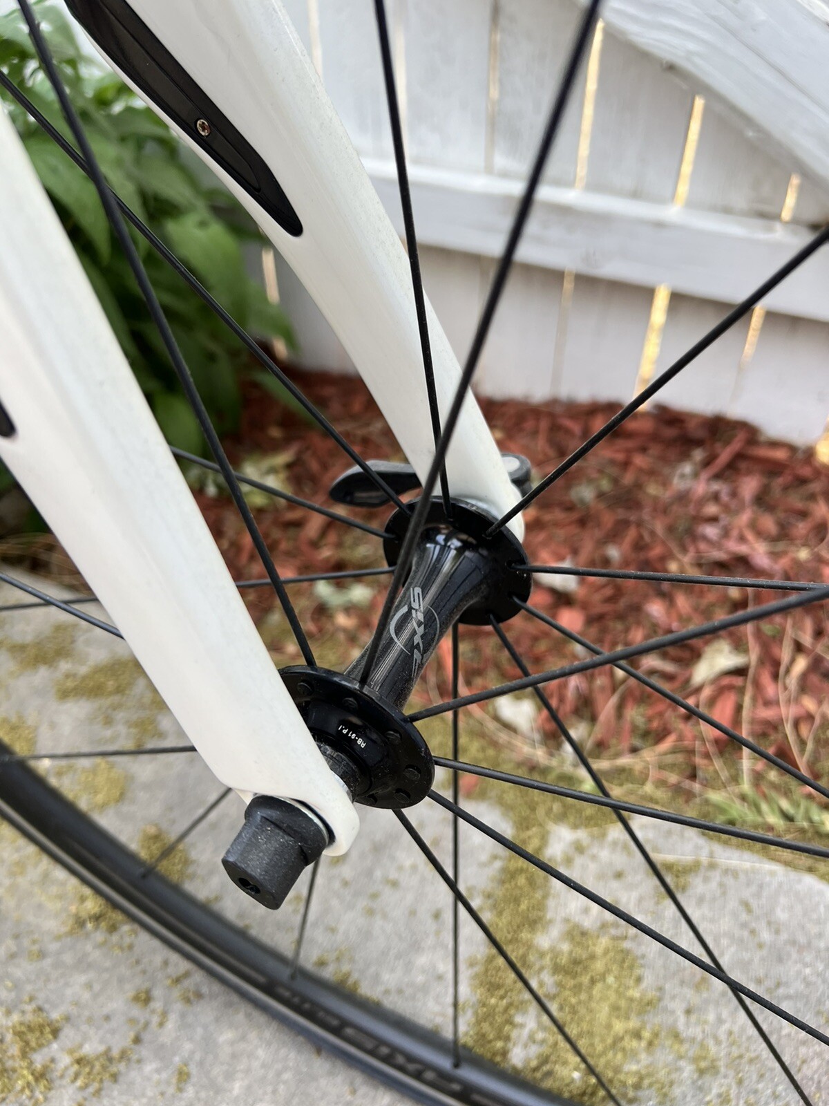 Specialized Roubiax Zertz Carbon Fiber Road Bike Size 52 eBay