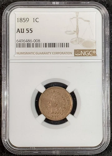 1859 Indian Head Cent NGC AU55 6496486-008 Exquisite Coin Rare