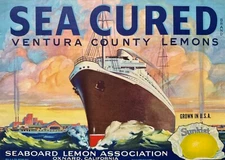 SEA CURED - 1930s Ocean Liner - VINTAGE FRUIT CRATE LABEL - 1930s Original