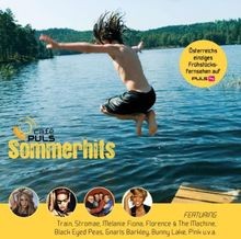 Cafe Puls Sommerhits von Various | CD | Zustand sehr gut