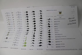 Lego Space Blacktron -6981- Aerial Intruder -Complete w/Instructions & Checklist