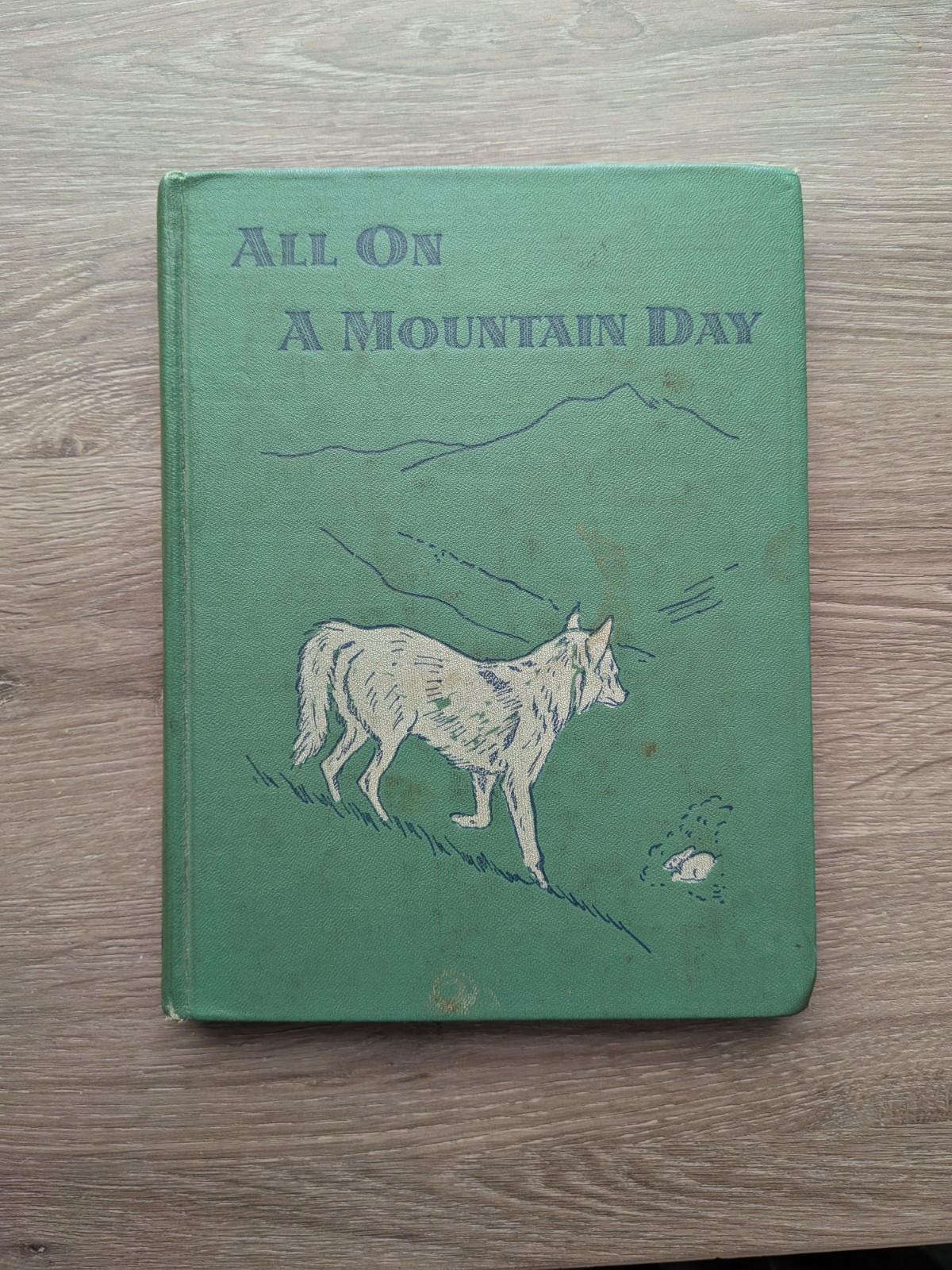 All On A Mountain Day by Aileen Fisher Vintage Children's Book 1956