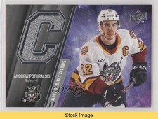 2021-22 Upper Deck AHL Captains Andrew Poturalski #L-11 READ 08gm