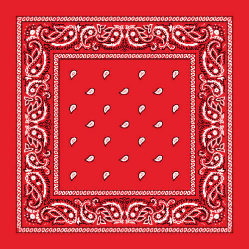 3 PCS Paisley Bandana Face Mask Head Wrap Scarf 100% Cotton Mouth Cover - Picture 7 of 12