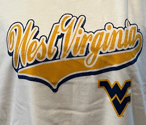 Long Sleeve V-neck T-shirt 