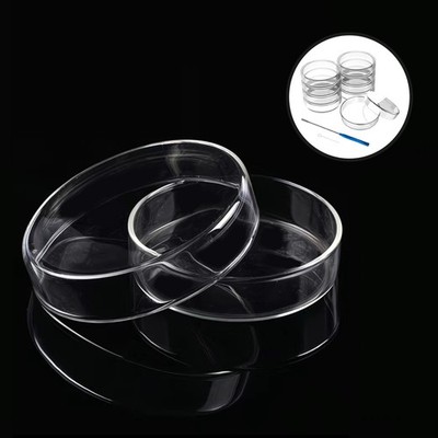 10Pcs 90mm Glass Petri Dish with Lids High Borosilicate Bacterial Culture Dishes