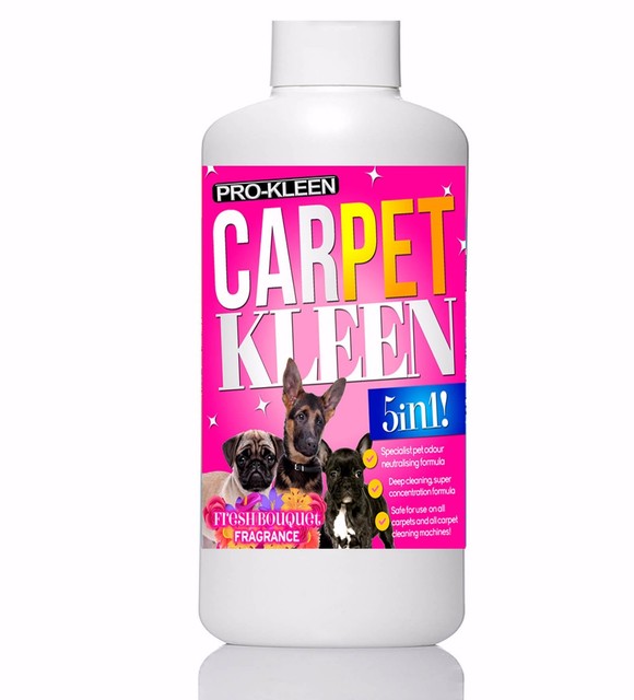 prokleen carpet cleaning