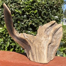 DRIFTWOOD Natural Freshwater TERRARIUM Aquarium DECOR Crafts 10" Tree Rings ARCH