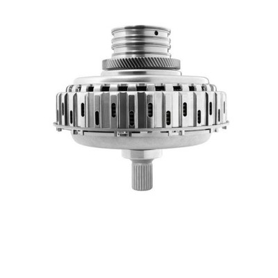 202155 BorgWarner Kupplungsmodul OE-Version/Erstausrüstung