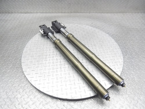 Tubo amortiguador horquilla delantera izquierda derecha Honda RC51 RVT1000 SP1 2001 00-01 *NECESITA SELLOS - Imagen 8 de 9