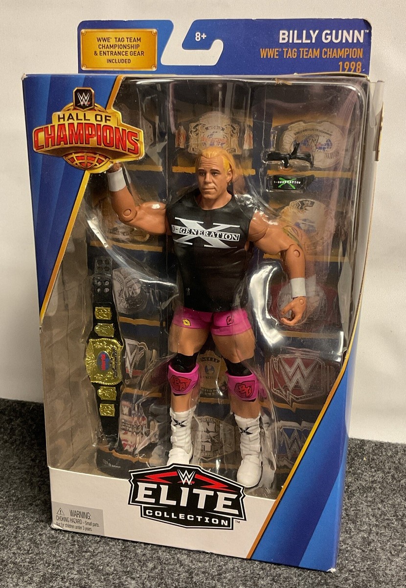 WWE Billy Gunn Hall Of Champions Elite WWF DX Pink Target