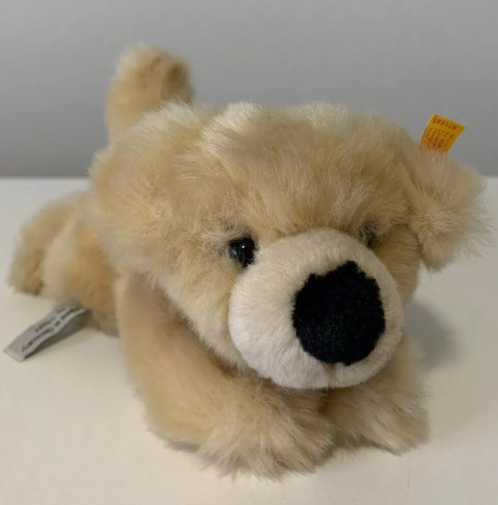 golden retriever american kennel club