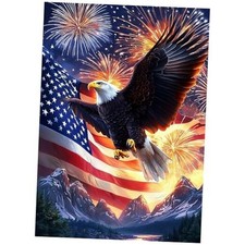 Bald Eagle Diamond Art Kits for Adults Beginners - Independence Day HG060