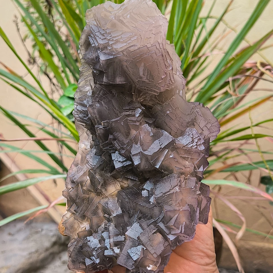 Muestra mineral de cristales de tono púrpura fluorita cúbica natural de doble cara 2120 g Foto 2 de 4