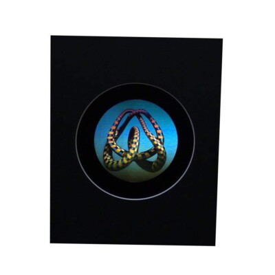 3D Mobius Loop Color Tuned Hologram Picture MATTED, Embossed Type