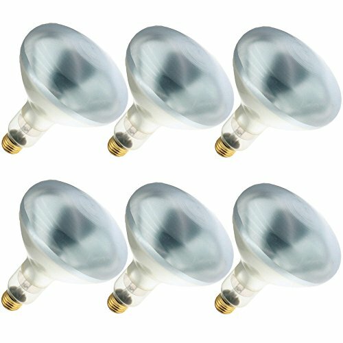 Industrial Performance 100BR40/AB 120V, 100 Watt, BR40, Medium Screw (E26) Ba... - Bild 1 von 2