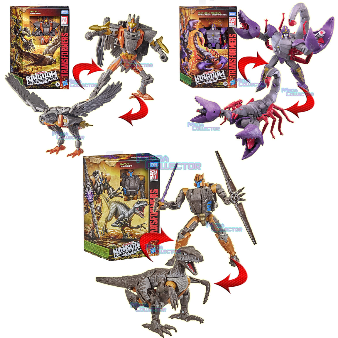 Transformers Generations Beast Wars Kingdom Dinobot Airazor