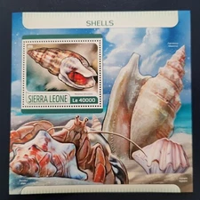 Sierra Leone 2017 / Marine Life - Shells  / 1 v ms