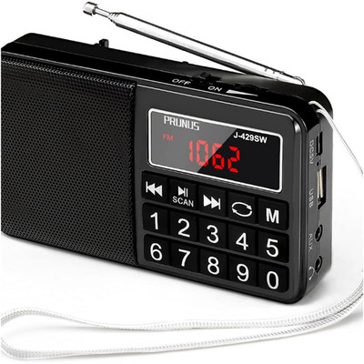Tragbares Digitalradio 3W UKW AM SW AUX SD für Senioren