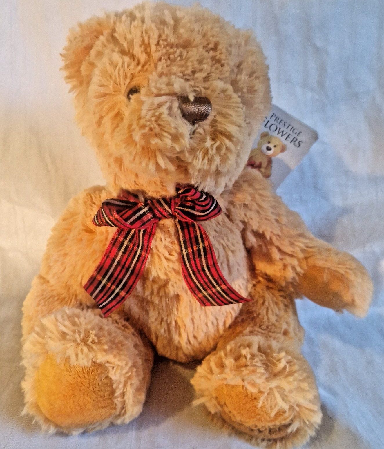 Prestige Flowers Fluffy Cuddly Teddy Bear Plush Soft Toy Harry Cute