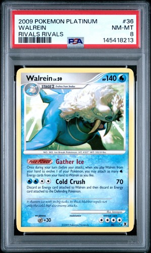 Walrein graded PSA 8 for sale on eBay