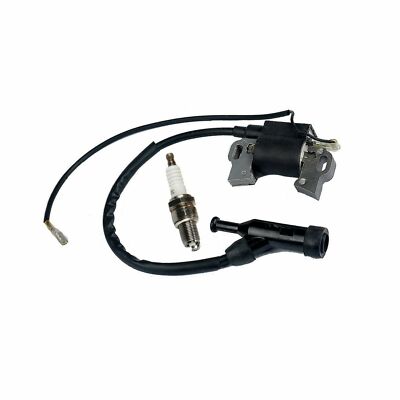 Ignition Coil & Plug Fits Professional Tools 6800 8000 Generator Contractor Line