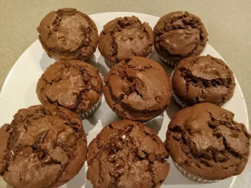 Delicious Homemade Double Chocolate Chip Muffins 9 Count