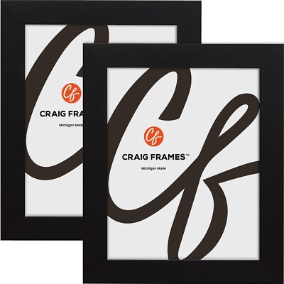 Craig Frames Inc Craig Frames 314BR 22 x 28 Inch Ornate Bronze Picture Frame Matted to Display an 18 x 24 Inch Photo Craig Frames Inc Craig Frames 314BR 22 x 28 Inch Ornate Bronze Picture Frame Matted to Display an 18 x 24 Inch Photo