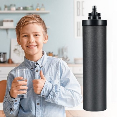 Black Berkey BB9-2 Water Filters, 2 Pack Purification Elements Replacement
