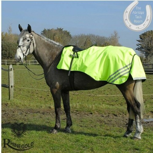 Selezione Bastone Da Passeggio Cavallo In Metallo Con Impugnatura Curva Argentata | Acquista Su - Foto 9