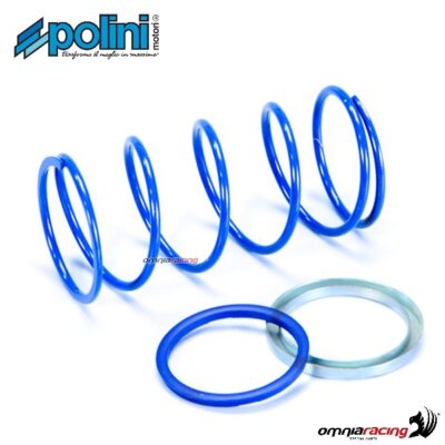 Polini Evo Slider Contrast Spring for Beta Eikon 50 2T Water?