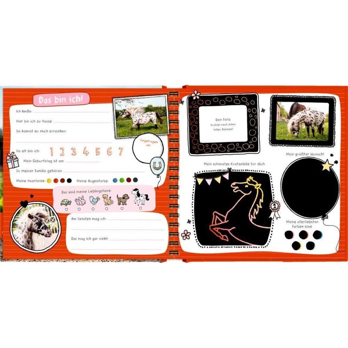Thumbnail - Die Spiegelburg Pony Dotti - Meine Kindergartenfreunde
