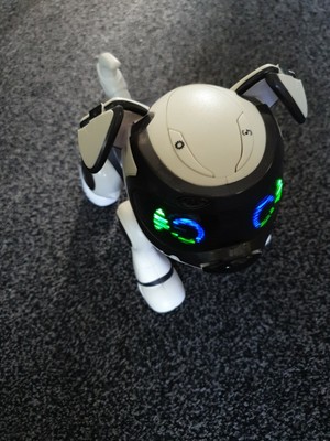 teksta voice recognition puppy electronic pet