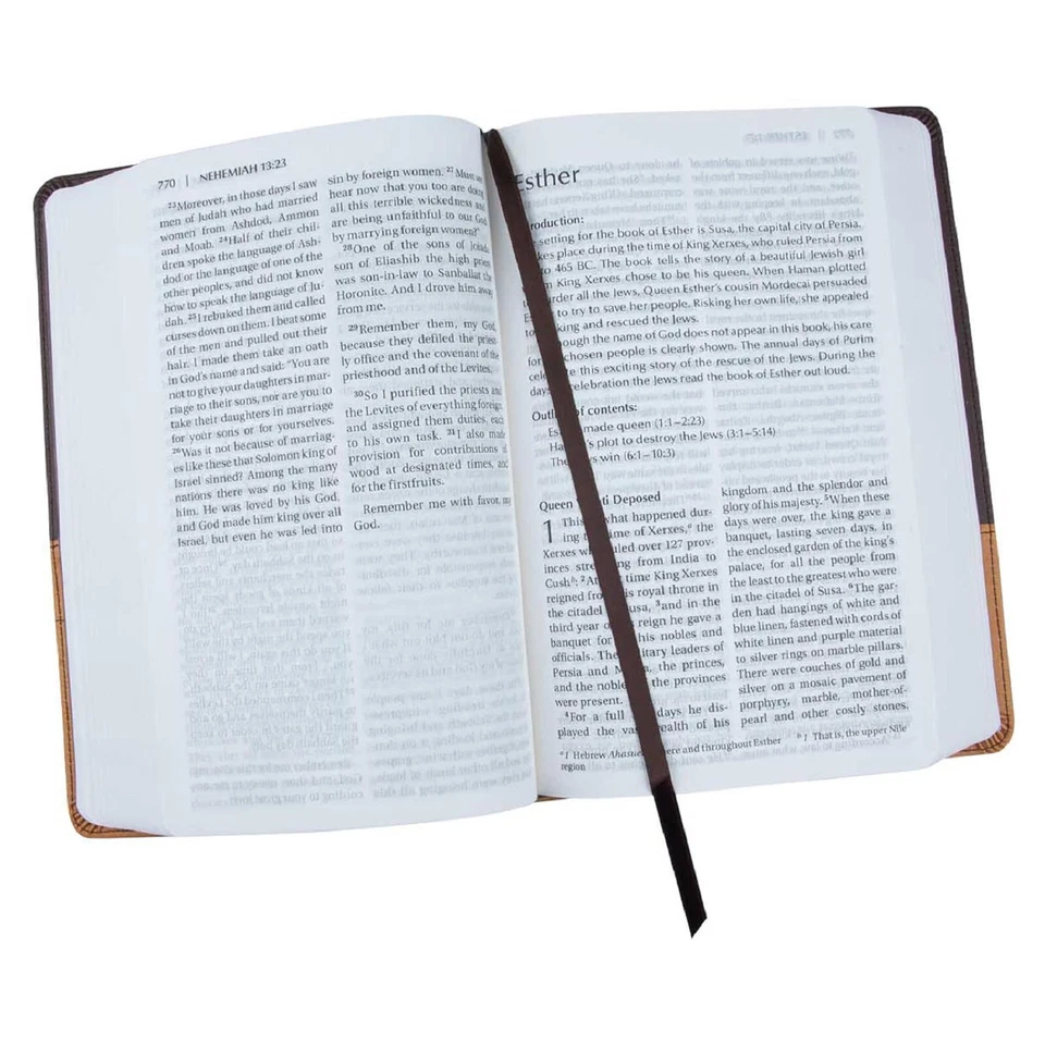 NIV Bible Large Print DuoTone Free Shipping BRAND NEW in Shrink Wrap!!!! - Image 4 of 4