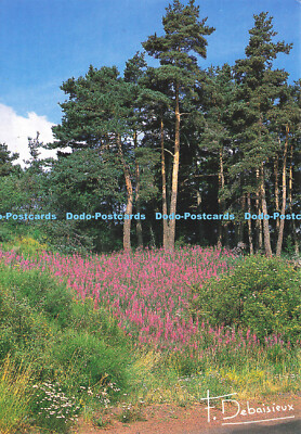 D191644 Foret. Haute Maison des Oiseaux Bocagers. Ronsard. Tous Droits D Exploit