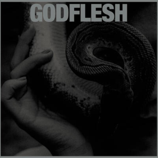Godflesh Purge (CD) Album